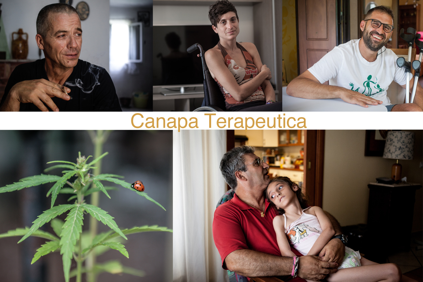 Curarsi con la Canapa in ItaliaI volti dei malati che usano la cannabis: persone normali che vogliono avere il diritto a vivere meglio 