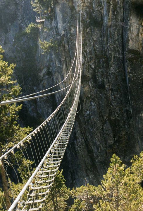 THETABRAND
un ponte verso la "sopravvivenza"