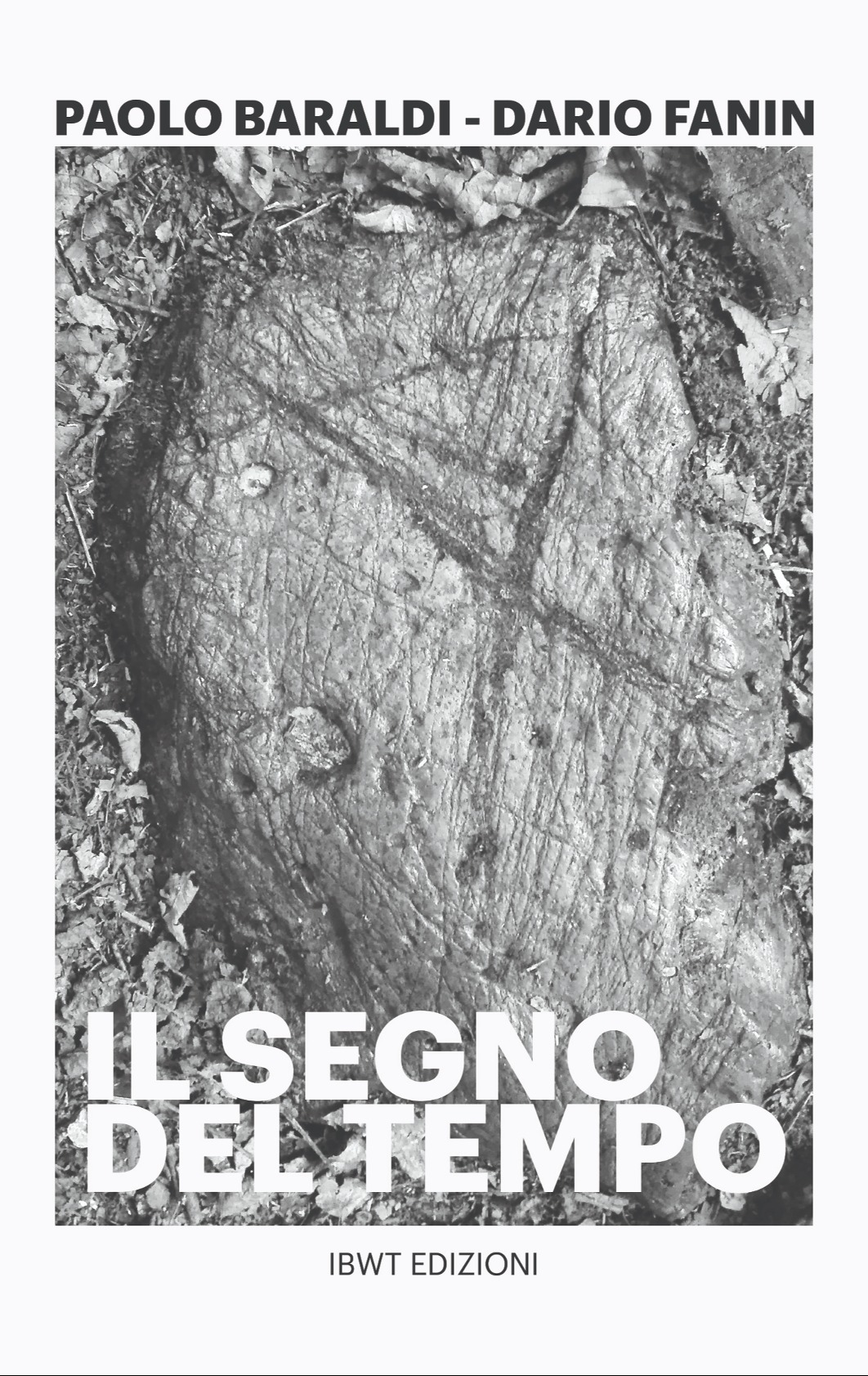 IL SEGNO DEL TEMPO: un libro di Paolo Baraldi e Dario Fanin