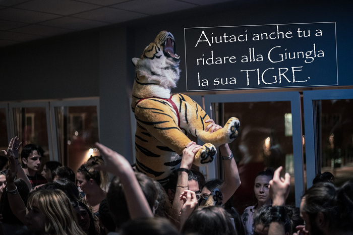 Aiutaci a riportare a casa la Tigre del Giungla!