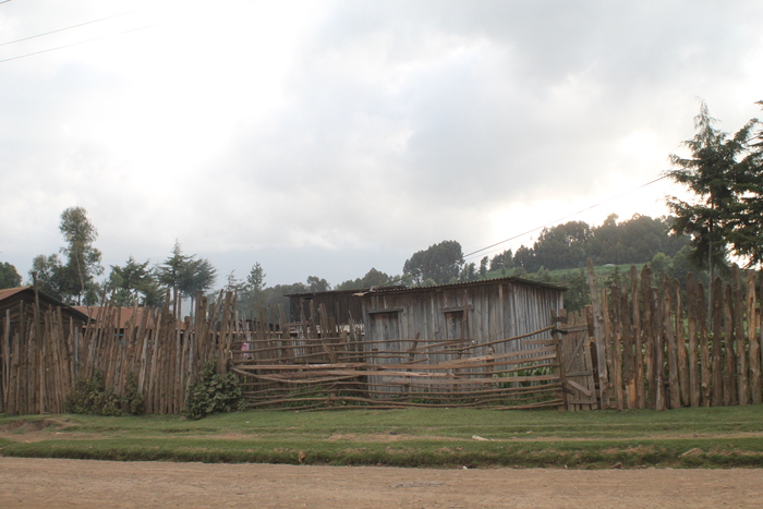 Operazione in Kenya