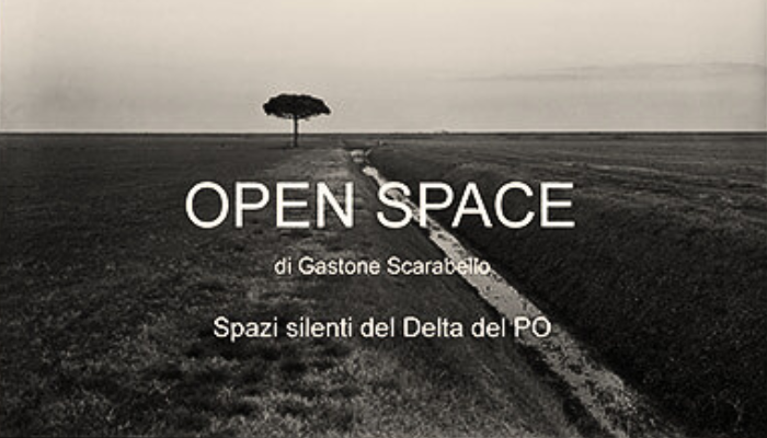 Open Space - Spazi silenti del Delta del Po
- Libro