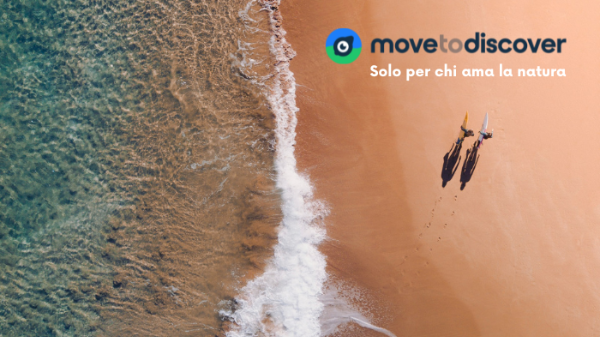 MovetoDiscover - Only for like-minded people - Support us!