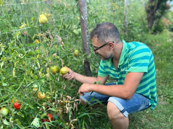 Tomatopia