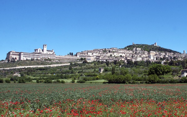 Chi fa affari nella città di San Francesco?