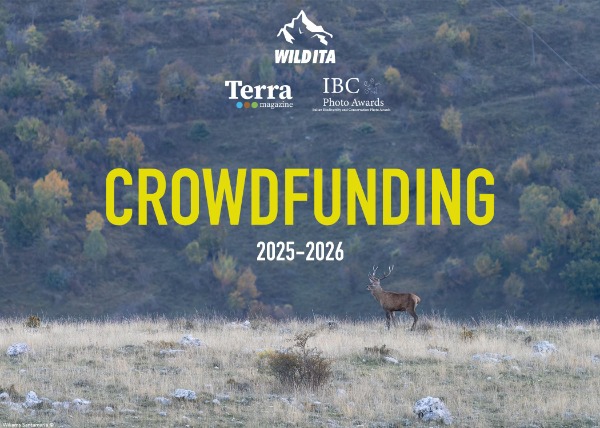 Unisciti alla nostra campagna di crowdfunding per sostenere Wildita!