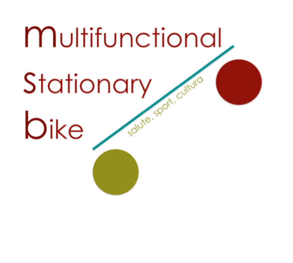 Multifunctional Stationary Bike